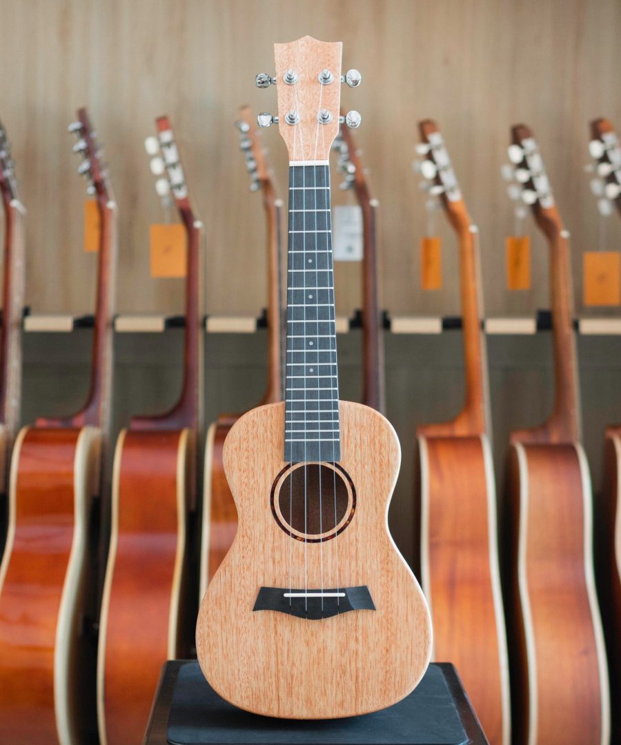 Alternative view of Đàn Ukulele Concert 850