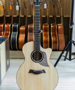 Đàn Guitar Acoustic Thuận AT03C LP