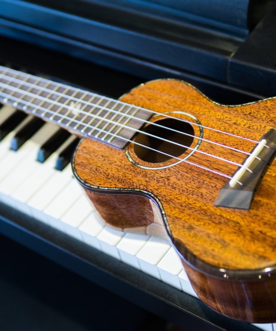 Ukulele Sole 622CGN