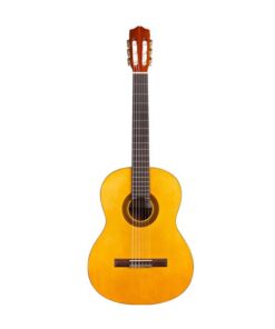 Đàn Guitar Classic Cordoba C1
