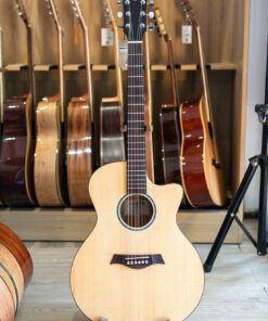 Đàn Guitar Acoustic Lương Sơn LSA500C