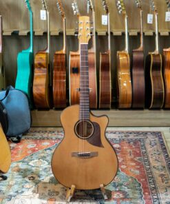 Đàn Guitar Acoustic Thuận AT03C LP Vs
