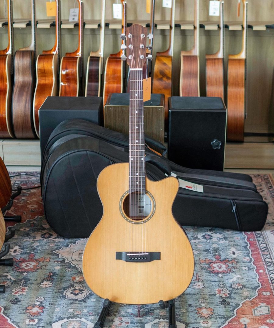 Đàn guitar Acoustic T-630