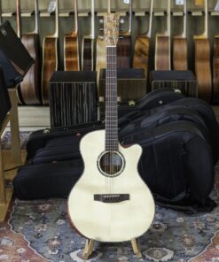 Đàn guitar acoustic N-Guitar AC05