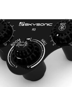 EQ hiệu ứng Skysonic R3
