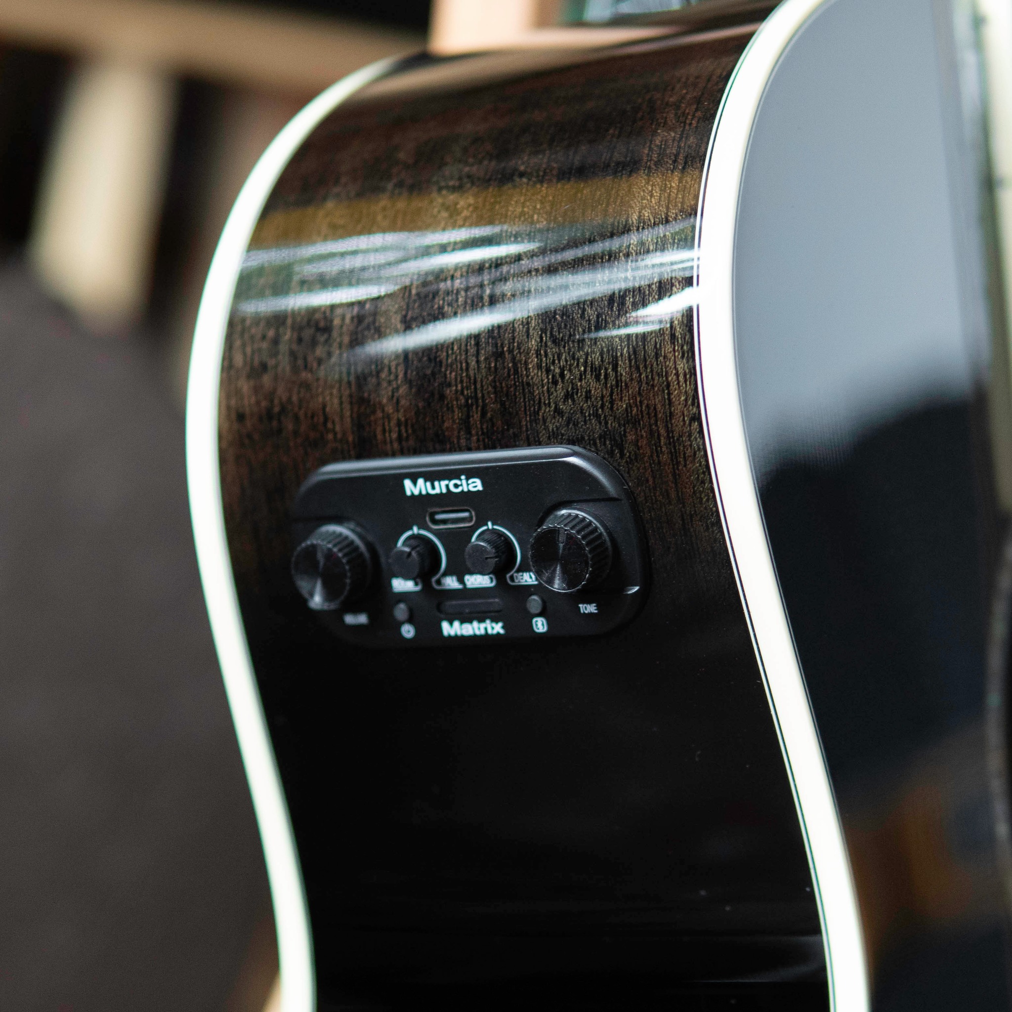 Guitar Acoustic Murcia AS-20CE