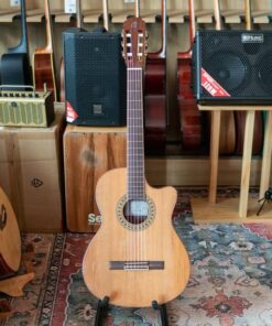 Guitar Classic Dáng Mỏng Cẩm Ấn NC05T- EQ FISHMAN 301