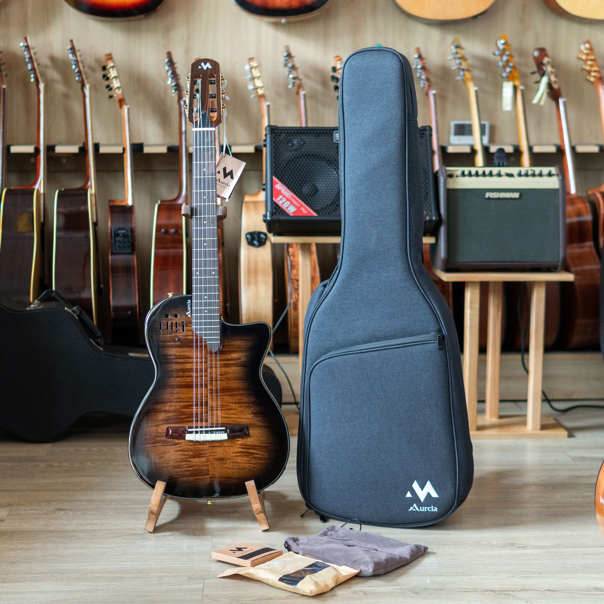 Cấu tạo Đàn guitar Murcia Stage Pro