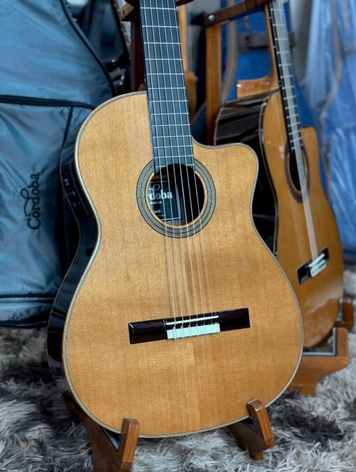 Đàn Guitar Classic Cordoba Orchestra CE (thanh lý do lỗi siêu nhẹ ở mặt lưng) - Ảnh 3
