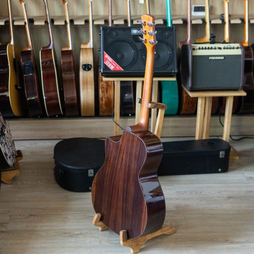 Đàn guitar acoustic Ayers GA1-C - Ảnh 3