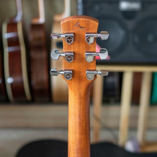 Đàn guitar acoustic Ayers GA1-C - Ảnh 7