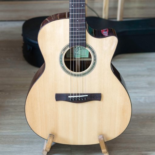 Đàn guitar acoustic Ayers GA1-C - Ảnh 8