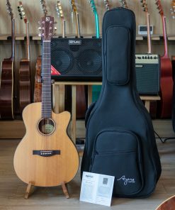 Đàn Guitar Acoustic Ayers OCSRL