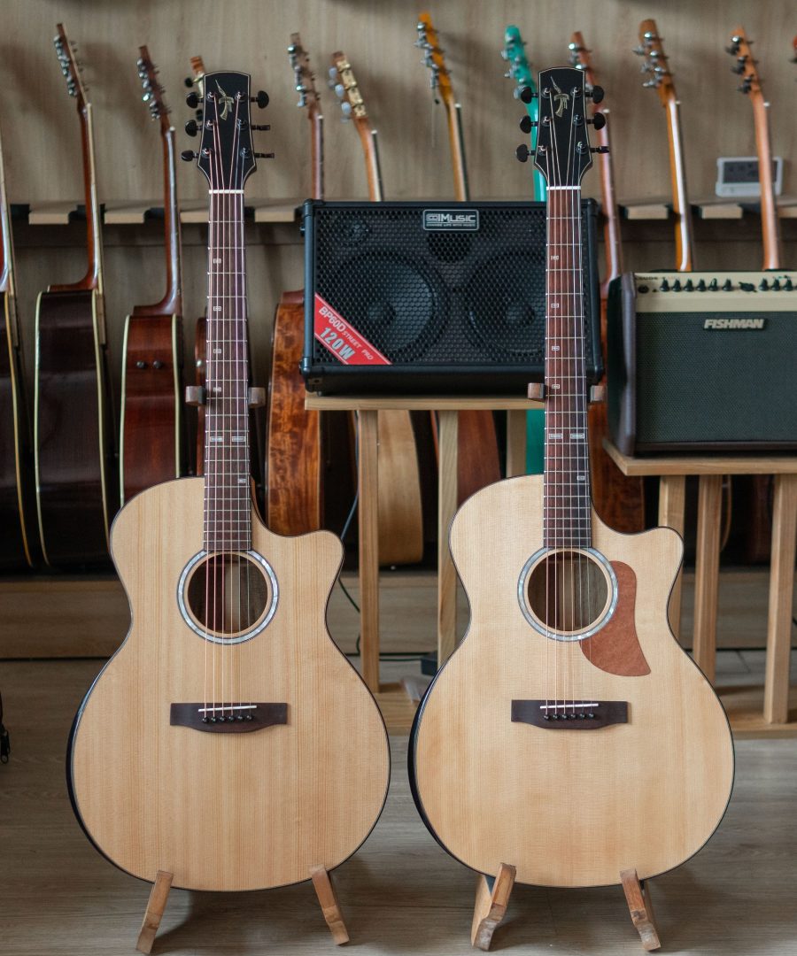 Đàn Guitar Acoustic Thuận AT02Cx Custom