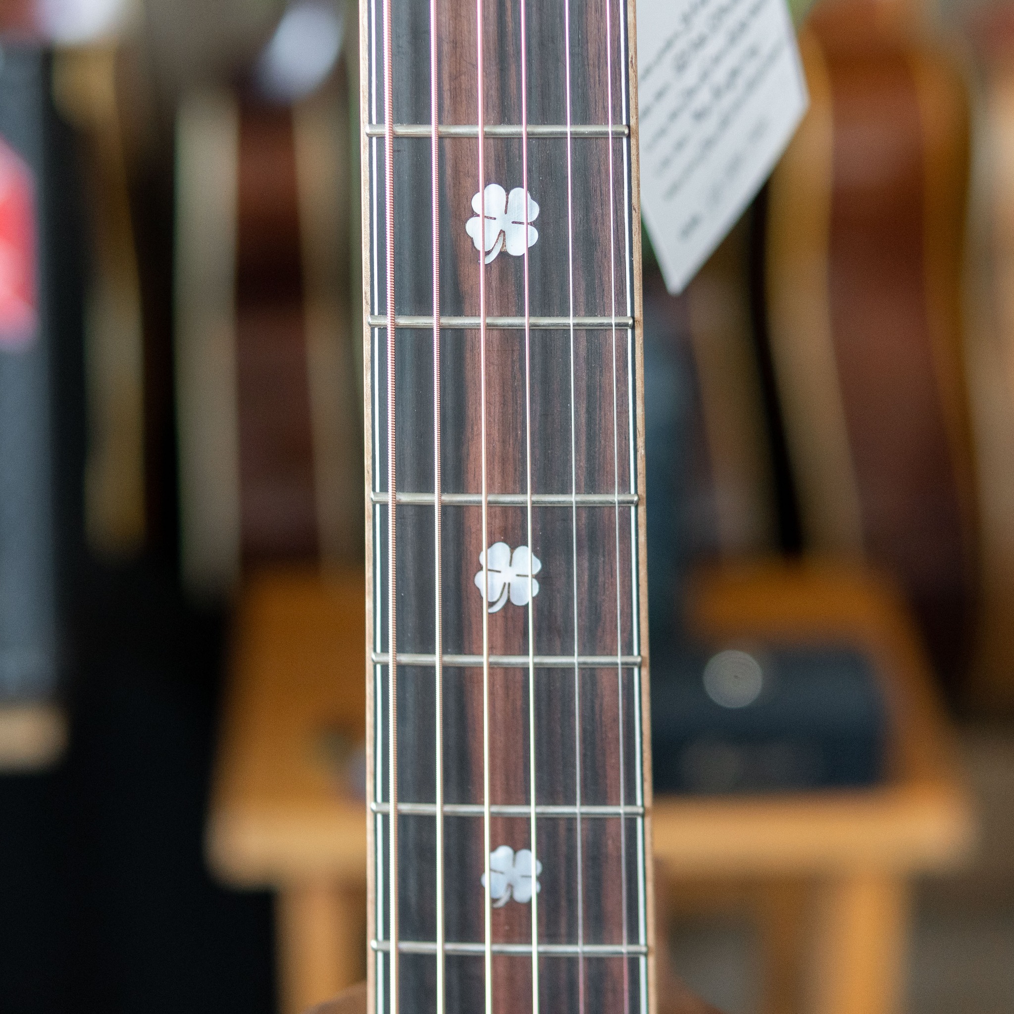 Đàn guitar acoustic Clover 914Cx - Ảnh 4