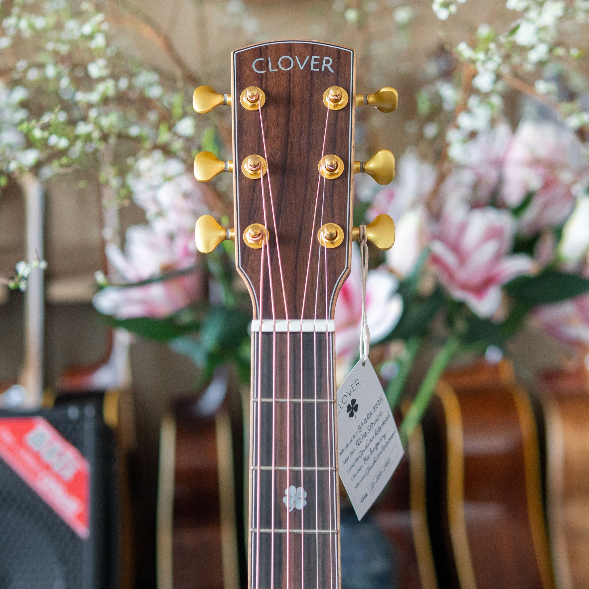 Đàn guitar acoustic Clover 914Cx - Ảnh 9