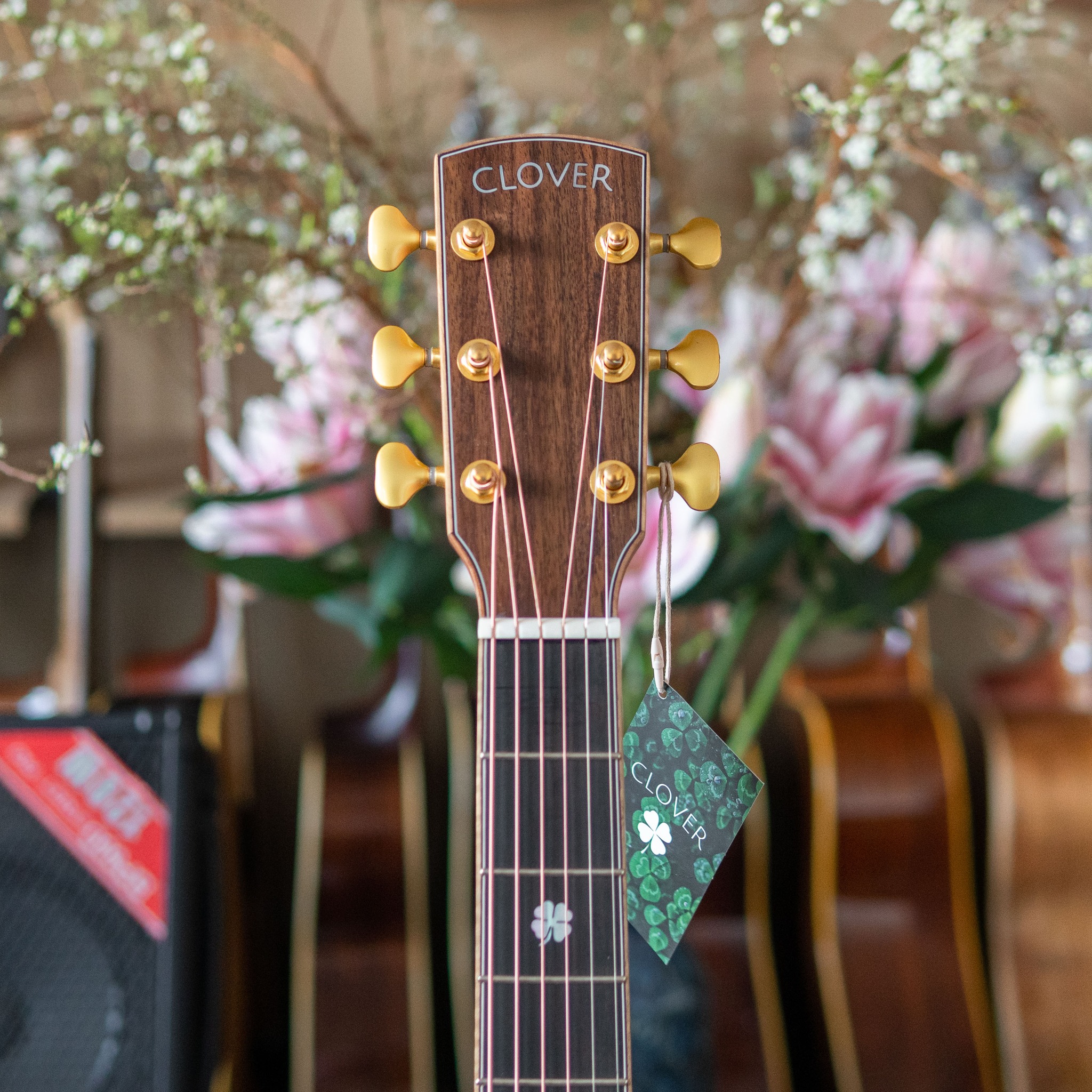 Đàn Guitar Acoustic Clover 912Cx - Ảnh 10