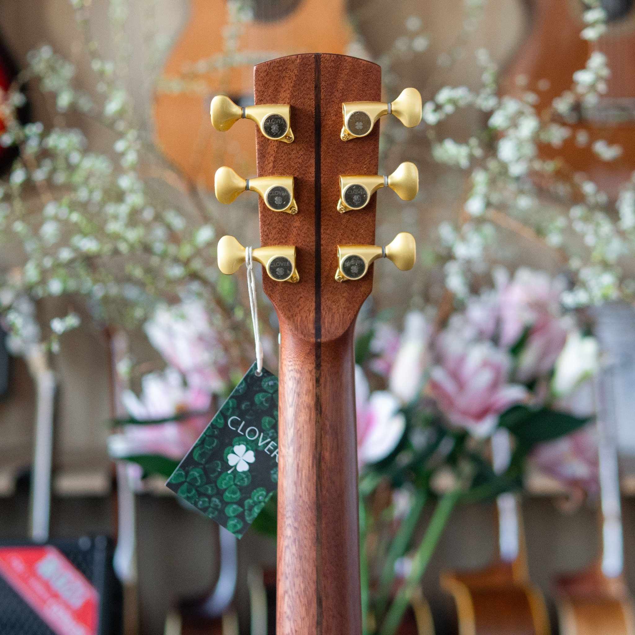 Đàn Guitar Acoustic Clover 912Cx - Ảnh 11