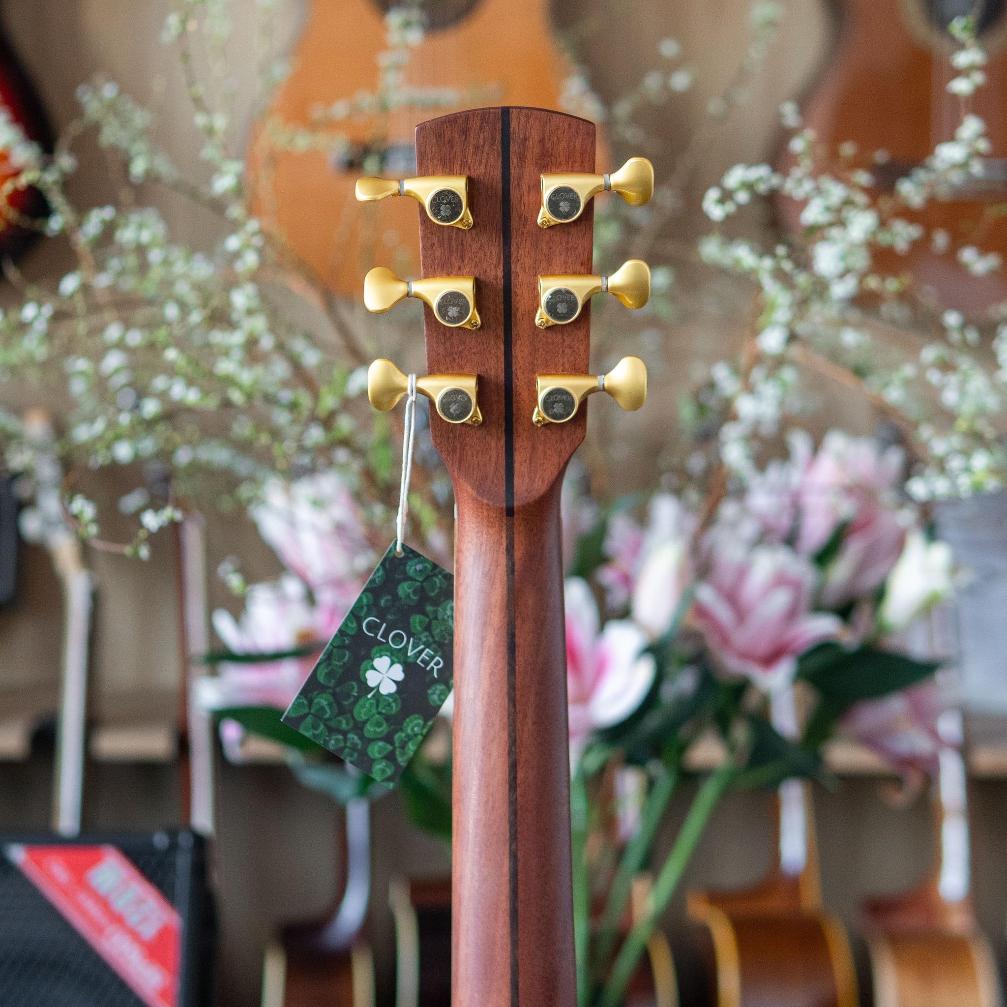 Đàn guitar acoustic Clover 914Cx - Ảnh 10