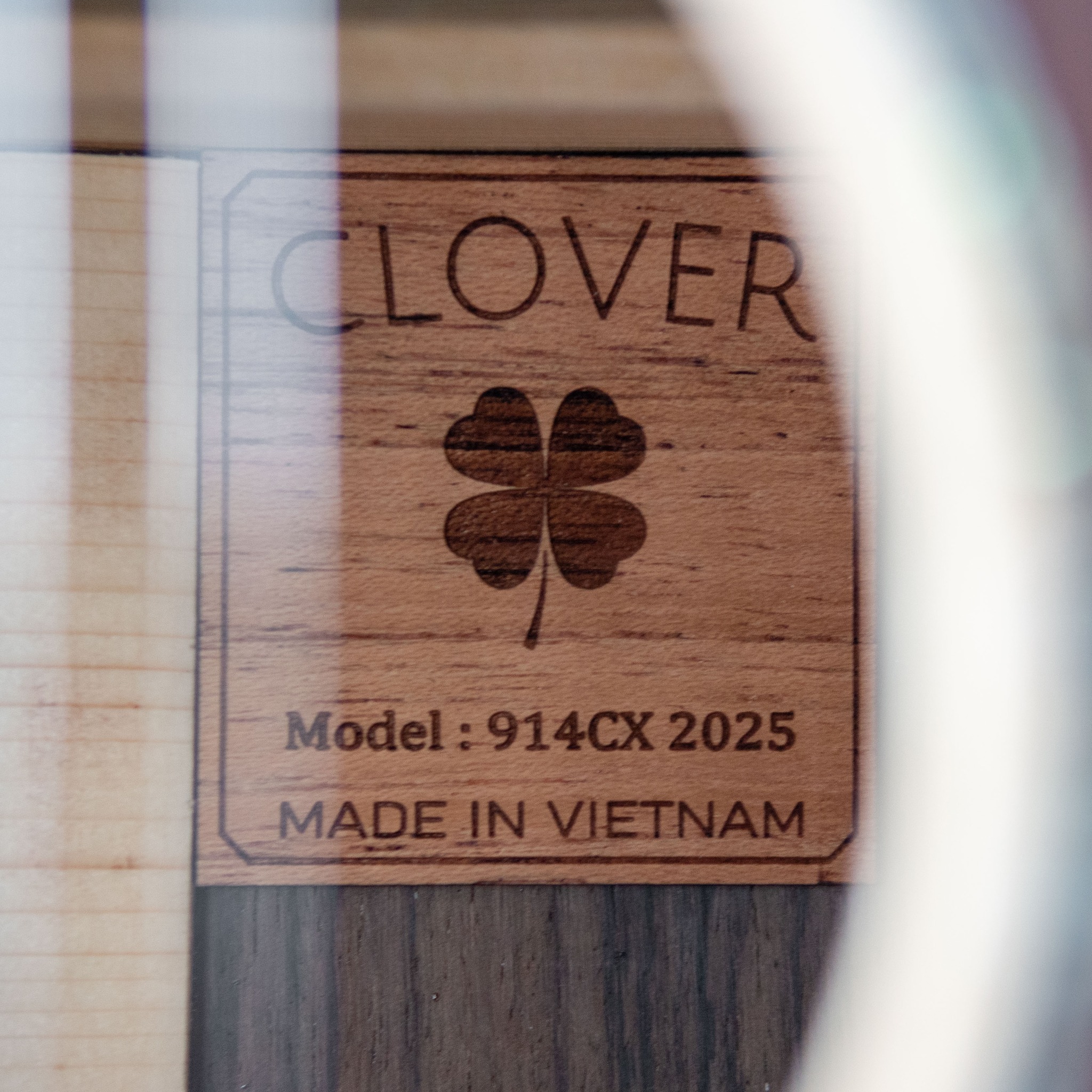 Đàn guitar acoustic Clover 914Cx - Ảnh 3