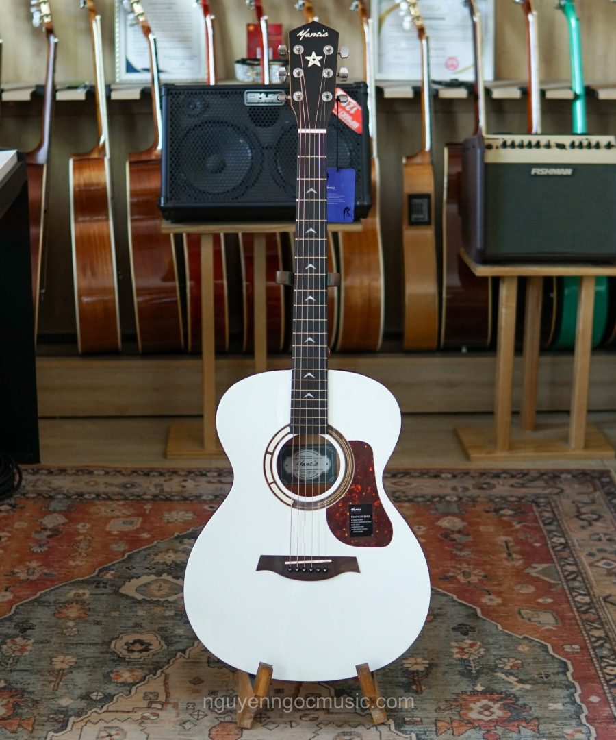 Đàn Guitar Acoustic Mantic GT1M PRO